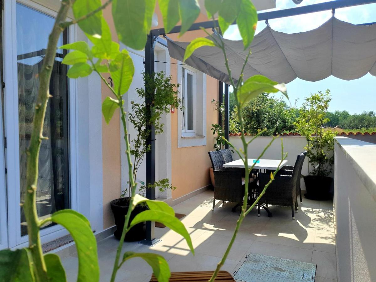 Ancora Apartment